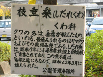 kw.jpg